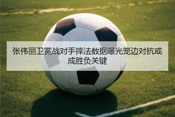 张伟丽卫冕战对手摔法数据曝光笼边对抗或成胜负关键